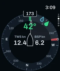 The Telltale Rose page on an Apple Watch: heading 173, true wind angle 42°, TWS 12.4 kn, boat speed 6.2 kn.