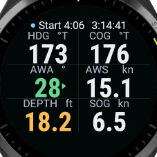 The Telltale Numbers page on a Garmin: heading 173, COG 176, AWA 28, AWS 15.1 kn, depth 18.2 ft, SOG 6.5 kn.