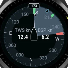 The Telltale Rose page on a Garmin: heading 173 with the true wind, TWS 12.4 kn and boat speed 6.2 kn.
